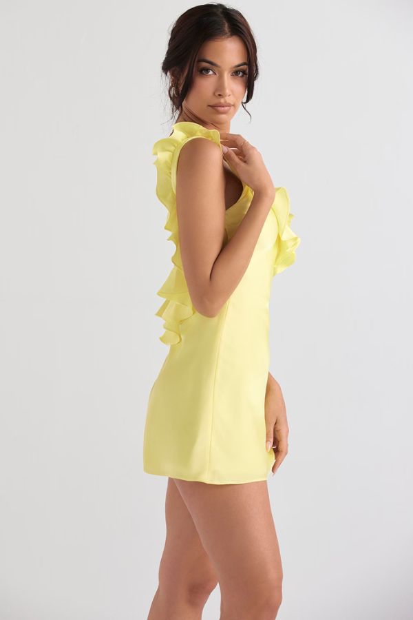 Sunny Muse Frill Mini Dress